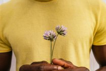 Cropped unrecognizable African American male with bouquet of wildflowers looking at camera on white background — Stock Photo