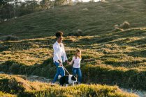Вид збоку тіла щасливої багатоетнічної жінки і маленької дівчинки з собакою Border Collie, що йде разом на стежку серед трав'янистих пагорбів у сонячний весняний вечір — стокове фото