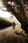 Полная длина женщины-путешественника на обочине дороги под ветром развевается темное дерево ствол в Пойнт-Рейес государственный парк в ранние утренние часы — стоковое фото