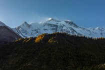 Magnífica paisagem de florestas de coníferas crescendo no fundo de montanhas nevadas do Himalaia sob o céu azul no dia ensolarado no Nepal — Fotografia de Stock