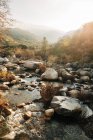 Angle élevé de paysage pittoresque de ruisseau rapide coulant parmi les rochers contre les hautes terres boisées brumeuses dans le parc national Sequoia aux États-Unis — Photo de stock
