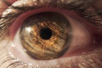 Макрознімок коричневого ока анонімної людини, освітленої сонячним світлом, дивлячись на камеру — стокове фото