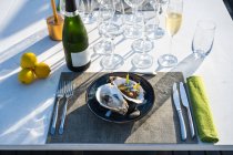 Delicioso y bien decorado plato de ostras junto con champán en el restaurante de alta cocina al aire libre - foto de stock