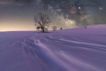 Paesaggio spettacolare con Via Lattea nel cielo notturno colorato sopra il campo innevato che riflette la luce viola con alberi senza foglie — Foto stock