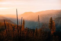 Splendida vista sul Parco Nazionale dello Yosemite — Foto stock