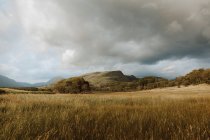 Ciel gris nuageux sur les collines et les prairies herbeuses lors d'une journée lunaire dans la campagne britannique — Photo de stock