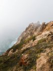 Изумительный пейзаж национального побережья Пойнт-Рейес с пенными океанскими волнами, бегущими по пляжу с бесконечными огромными скалами в Калифорнии — стоковое фото