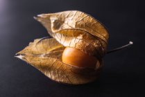 Top view of orange physalis with leaves — Stock Photo