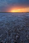 Захватывающий пейзаж твердой почвы соленой лагуны в Толедо под облачным небом — стоковое фото