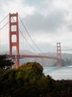 Famoso ponte Golden Gate appeso sopra il fiume con riva verde sotto cupo cielo grigio a San Francisco — Foto stock