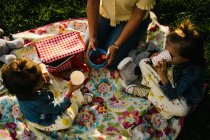 Dall'alto anonima giovane donna felice con le figlie che si godono un picnic sul prato verde mentre trascorrono la giornata estiva insieme nel parco — Foto stock