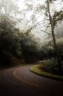 Estrada pavimentada correndo através de penhascos musgosos escuros e árvores perenes em florestas nebulosas assustadoras em São Francisco — Fotografia de Stock