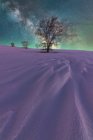 Spektakuläre Landschaft mit Milchstraße in buntem Nachthimmel über schneebedecktem Feld, das violettes Licht mit blattlosen Bäumen reflektiert — Stockfoto