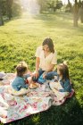 Happy young woman with little daughters enjoying picnic on green meadow while spending summer day together in park — Stock Photo