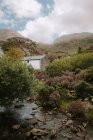 Casa bianca situata vicino a piccolo ruscello fluviale il giorno nuvoloso nella natura del Regno Unito — Foto stock