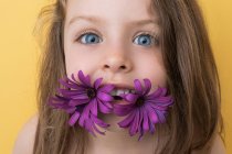 Linda niña sonriente con flores de gerberas violetas brillantes en la boca mirando a la cámara contra el fondo amarillo como concepto de verano e infancia - foto de stock