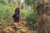 Обратный вид на неузнаваемого мужчину-путешественника, гуляющего в туманных экзотических лесах летом во время отпуска — стоковое фото