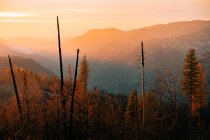 Great views of Yosemite National Park at sunset — Stock Photo