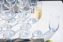 Copa de champán en el restaurante de alta cocina al aire libre - foto de stock