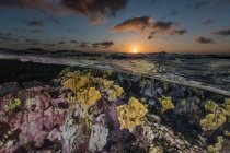 Nublado céu por do sol sobre acenando água limpa e recife de coral colorido no mar — Fotografia de Stock