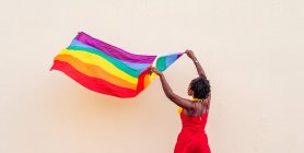 Back view stylish African American female in trendy clothes with colorful flag looking away during celebration — Stock Photo