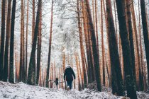 Rückenansicht einer Frau in Skijacke, die mit ihrem Hund zwischen Bäumen im Winterwald spazieren geht — Stockfoto