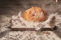 Appetitlich aromatisches frisch gebackenes hausgemachtes Brot mit Rosinen auf Holzbrett mit Mehl bestreut — Stockfoto