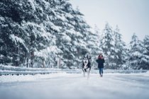 Dama de chaqueta de esquí paseando con perro doméstico entre árboles en el bosque de invierno - foto de stock