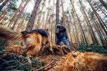 Side view of man walking with domestic dog between coniferous trees in sunny day — Stock Photo