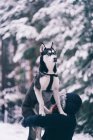 Вид збоку домашньої собаки, що грає з молодою леді на снігу між деревами в зимовому лісі — стокове фото