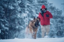 Man in ski jacket running with domestic dog with lead on snow between trees in winter forest — Stock Photo