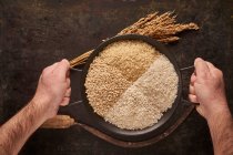 Top view of crop anonymous person holding bowl with various types of raw rice placed on black table with spikes and sickle — Stock Photo
