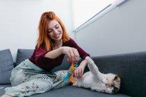 Zufriedene Hündin mit Tierspielzeug hat Spaß mit entzückender, flauschiger Katze, während sie zu Hause auf der Couch sitzt — Stockfoto