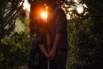 Вид сбоку счастливой молодой пары, ожидающей ребенка, стоящего лицом к лицу, держась за руки против солнечного света в зеленом лесу — стоковое фото