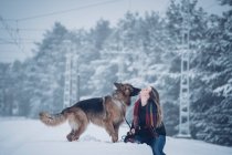 Вид збоку домашньої собаки з свинцевим обличчям молодої леді на снігу між деревами в зимовому лісі — стокове фото