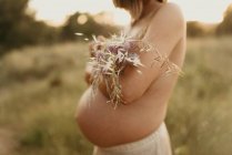 Боковой вид обрезанной неузнаваемой спокойной беременной женщины, покрывающей голую грудь букетом цветов, стоя летом в сельской местности — стоковое фото