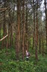 Haut angle de randonneur masculin marchant sur le sentier dans les bois pendant la randonnée en été — Photo de stock