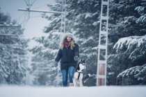 Schöner häuslicher Jagdhund läuft mit Frau zwischen Bäumen im Winterwald — Stockfoto