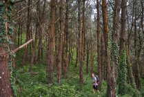Alto ángulo de senderismo masculino caminando por senderos en bosques durante el trekking en verano - foto de stock
