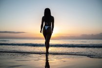 Atrás ver anónimo negro mujer con trenzas en la playa - foto de stock
