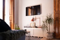Современный интерьер гостиной с телевизором и горшочком в уютной квартире — стоковое фото