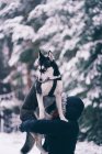 Side view of domestic dog playing with young lady on snow between trees in winter forest — Stock Photo
