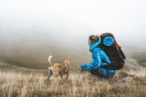 Vista lateral do viajante relaxado em casaco azul brilhante com mochila ligando cão marrom e sentado em campo seco em névoa nebulosa na montanha — Fotografia de Stock
