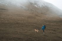 Vista lateral da mulher caminhando em casaco azul brilhante e mochila com cão marrom no vale vazio seco cercado por montanhas nevadas — Fotografia de Stock