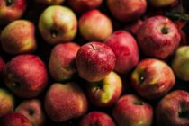 Свіжі червоні яблука на темному фоні — стокове фото