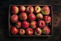 Свежие красные яблоки на темном фоне — стоковое фото
