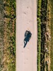 Вид зверху на повітря людини, що керує мотоциклом на сільській дорозі на сонячному світлі в сільській місцевості — стокове фото