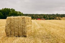 Dried hay roll and modern tractor placed on agricultural field in mountainous area in summer — Stock Photo