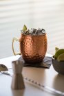 Mosca cocktail mulo in vaso di rame — Foto stock