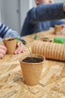 Crop anonymous children at table with green seedling growing in carton cup with soil in house — Stock Photo
